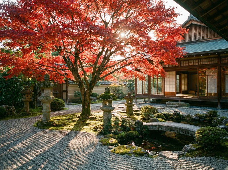 四虎视频红枫视频